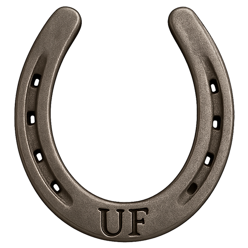 Uncle Fiddlers NH Horse Racing Tips